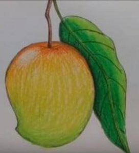 आम के फल का चित्र